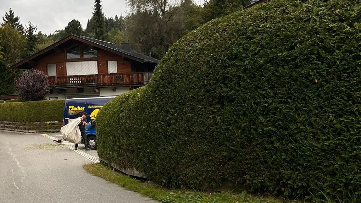 Vergleichsbild nachher