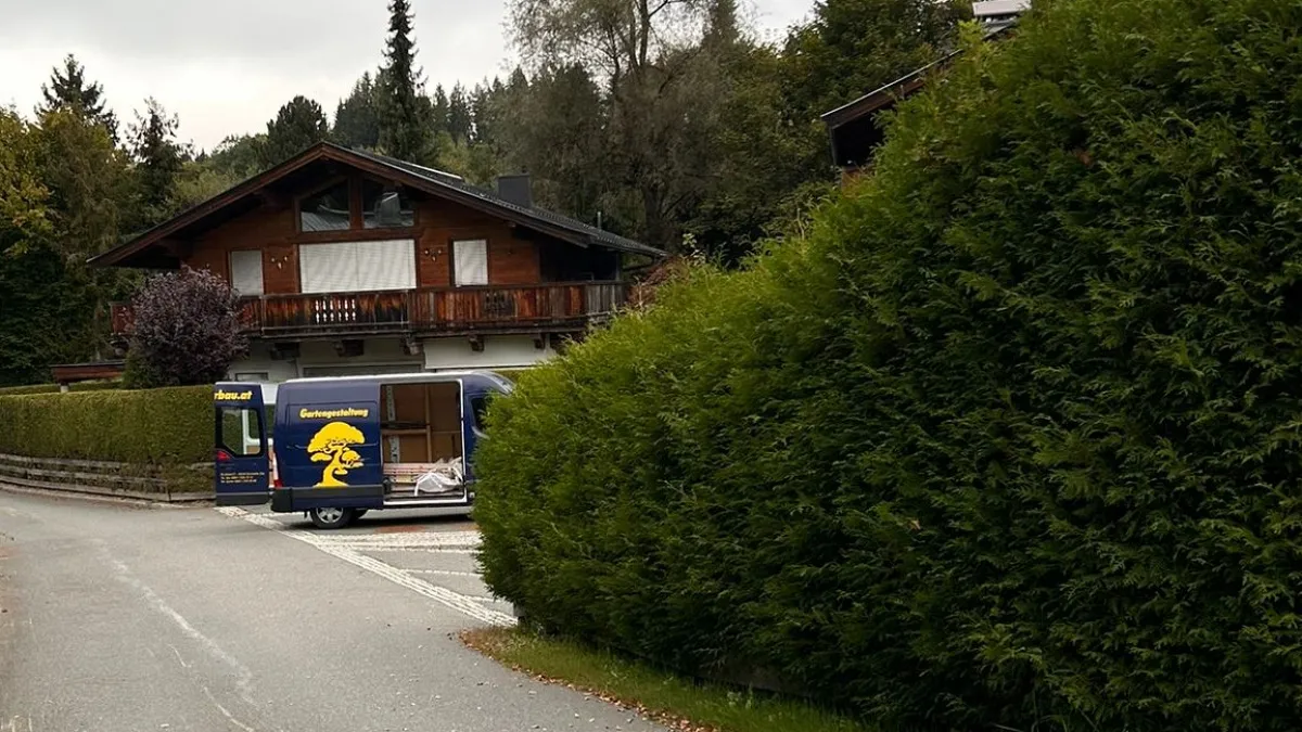 Vergleichsbild vorher